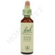 Bach Flower Remedies for Animals - Water Violet